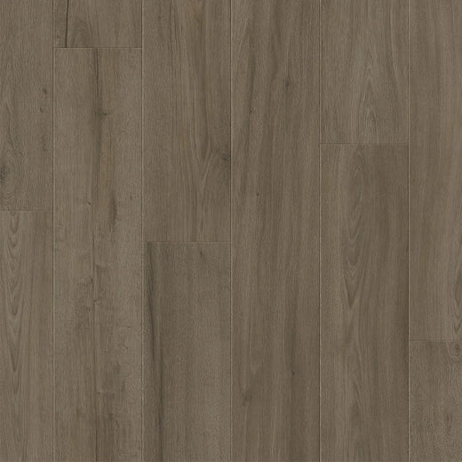 Premium Floors Clix Plus Laminate Flooring 8mm - Feather Grey Oak swatch