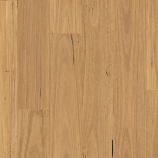 Premium Floors Clix XL Laminate Flooring 9.5mm - Natural Blackbutt swatch