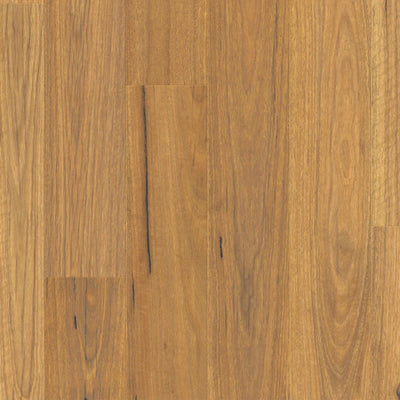 Premium Floors Clix XL Laminate Flooring 9.5mm - Natural Spotted Gum swatch