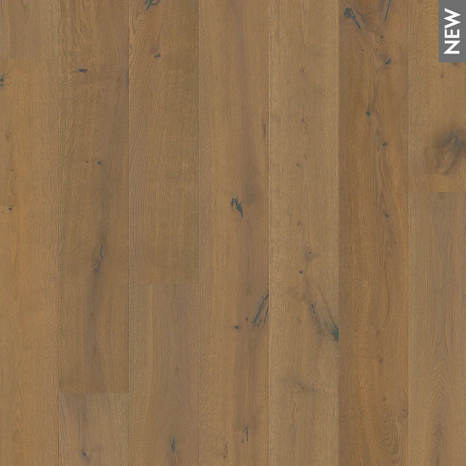 Premium Floors Nature’s Oak Engineered Timber Flooring 14mm Denali Swatch
