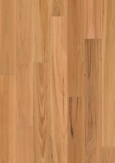 Premium Floors Sidura 1-Strip Australian Native Engineered Timber Flooring 13–14mm Blackbutt Matt Swatch