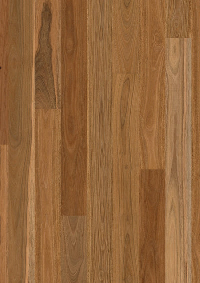 Premium Floors Sidura 1-Strip Australian Native Engineered Timber Flooring 13–14mm Spotted Gum Gloss Swatch