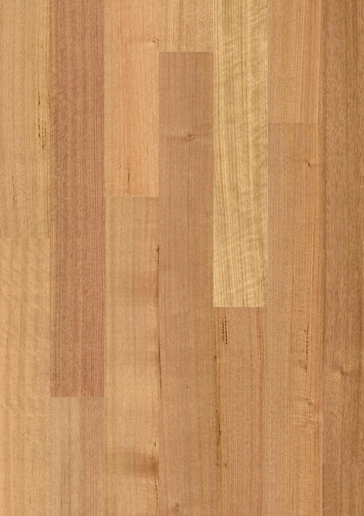 Premium Floors Sidura 1-Strip Australian Native Engineered Timber Flooring 13–14mm Tasmanian Oak Matt Swatch