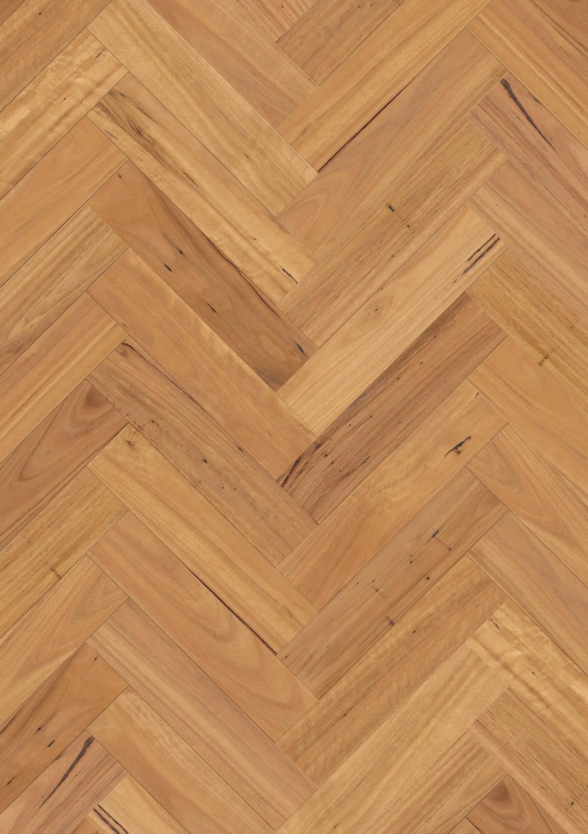 Premium Floors Sidura Herringbone Australian Native Engineered Timber Flooring 13/3mm Blackbutt Matt Swatch