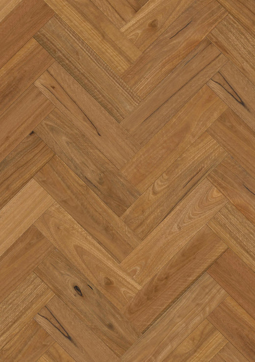 Premium Floors Sidura Herringbone Grande Australian Native Engineered Timber Flooring 13/3mm Spotted Gum Matt Swatch