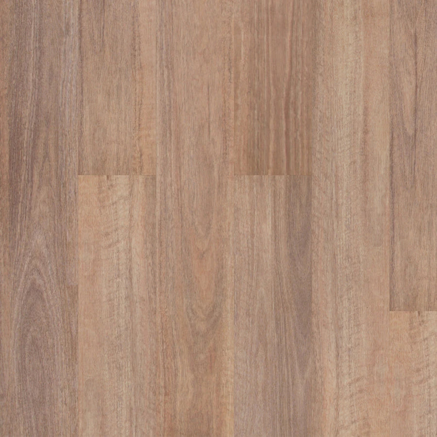 Premium Floors Titan Home Hybrid Flooring 5mm Natural Spotted Gum Swatch