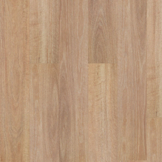 Premium Floors Titan Home Hybrid Flooring 5mm Pale Spotted Gum Swatch