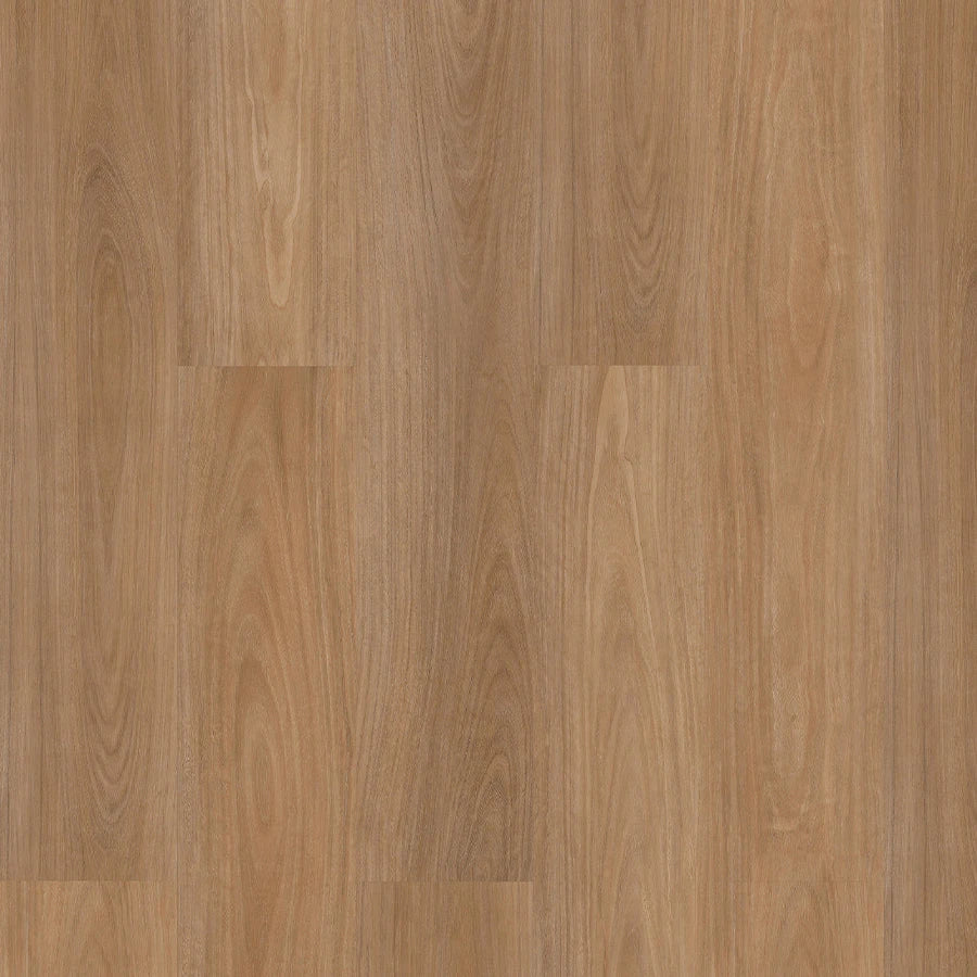Premium Floors Titan Home Hybrid Flooring 5mm Tidal Blackbutt Swatch