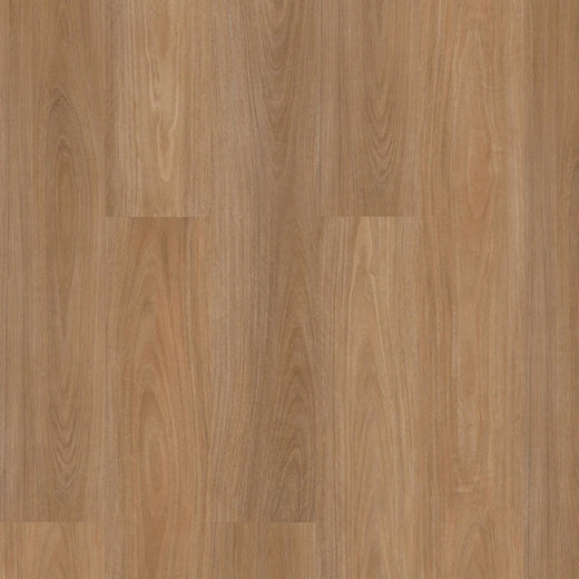 Premium Floors Titan Home Hybrid Flooring 5mm Tidal Blackbutt Swatch