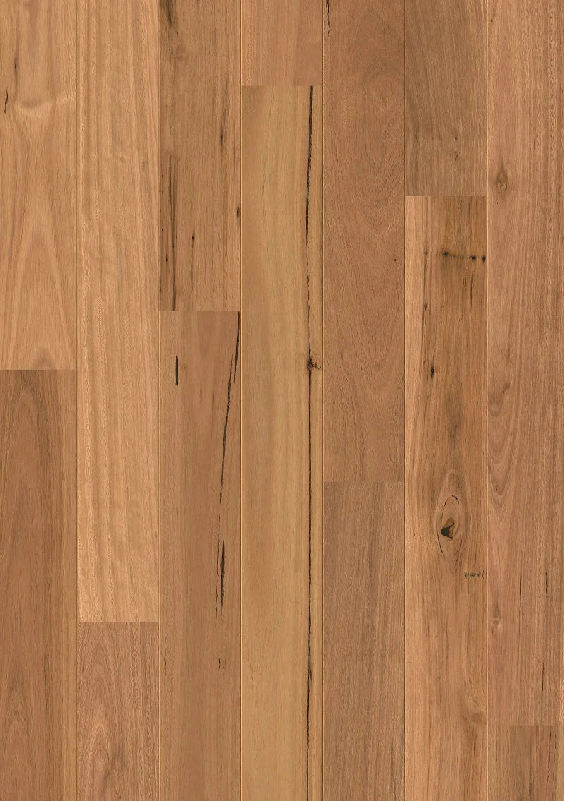 Quick-Step Amato Engineered Timber Flooring 13/2.5mm Blackbutt Swatch