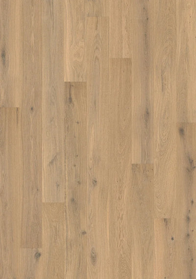 Quick-Step Amato Engineered Timber Flooring 13/2.5mm Pure Oak Swatch