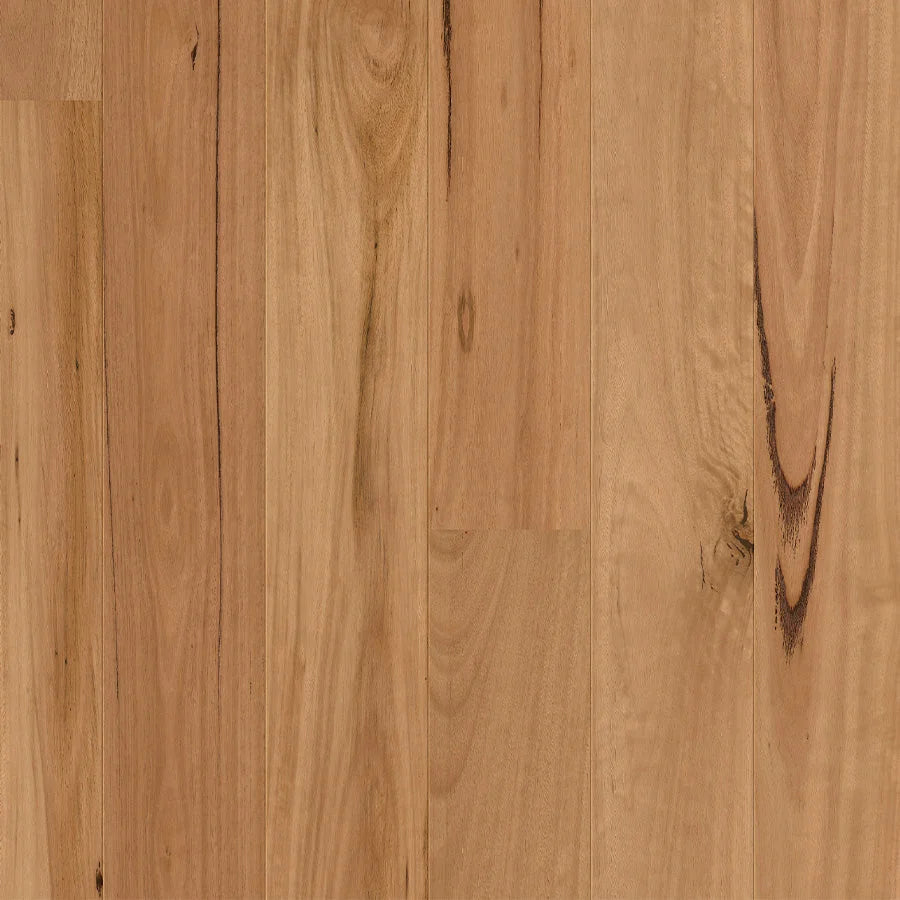 Quick-Step Cascada Engineered Timber Flooring 13/2.5mm Blackbutt Swatch