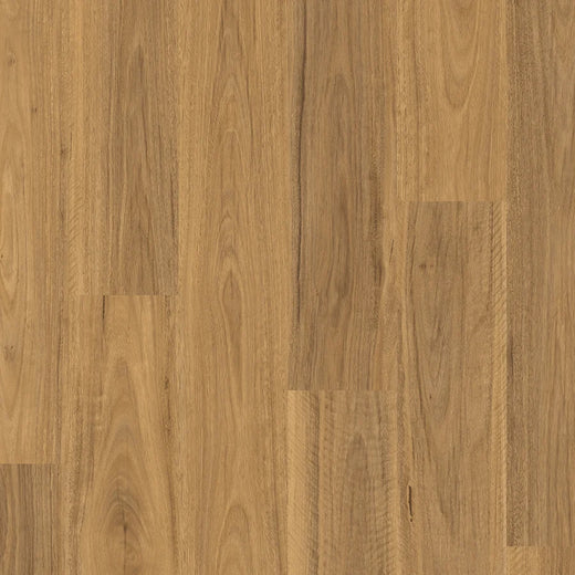 Quick-Step Classic Laminate Flooring 8mm Spotted Gum Swatch