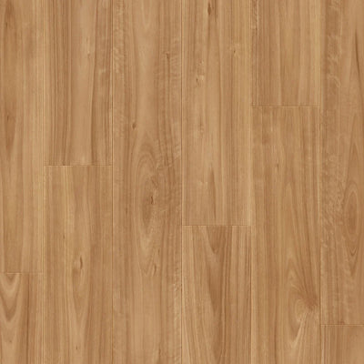 Quick-Step Impressive Laminate Flooring 8mm Blackbutt Swatch