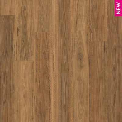 Quick-Step Impressive Laminate Flooring 8mm Spotted Gum Swatch