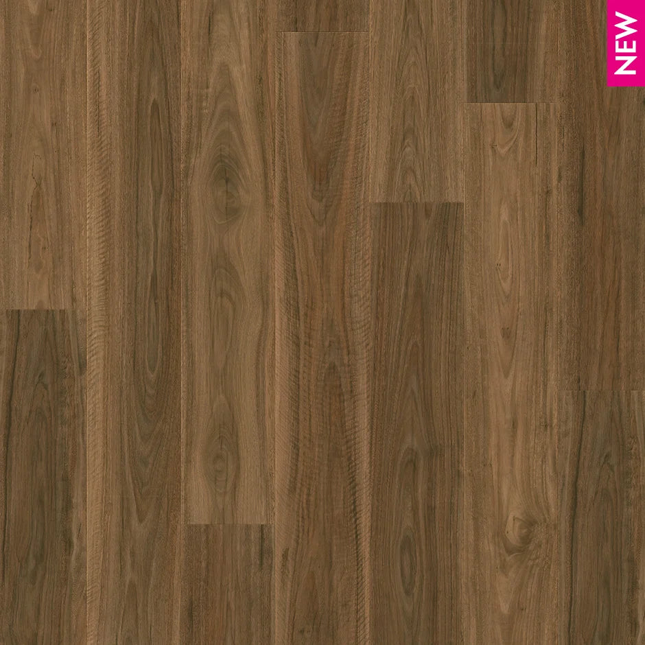 Quick-Step Majestic Laminate Flooring 9.5mm Spotted Gum Swatch