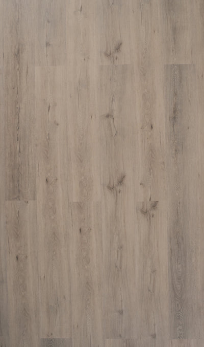 Harbour Grey