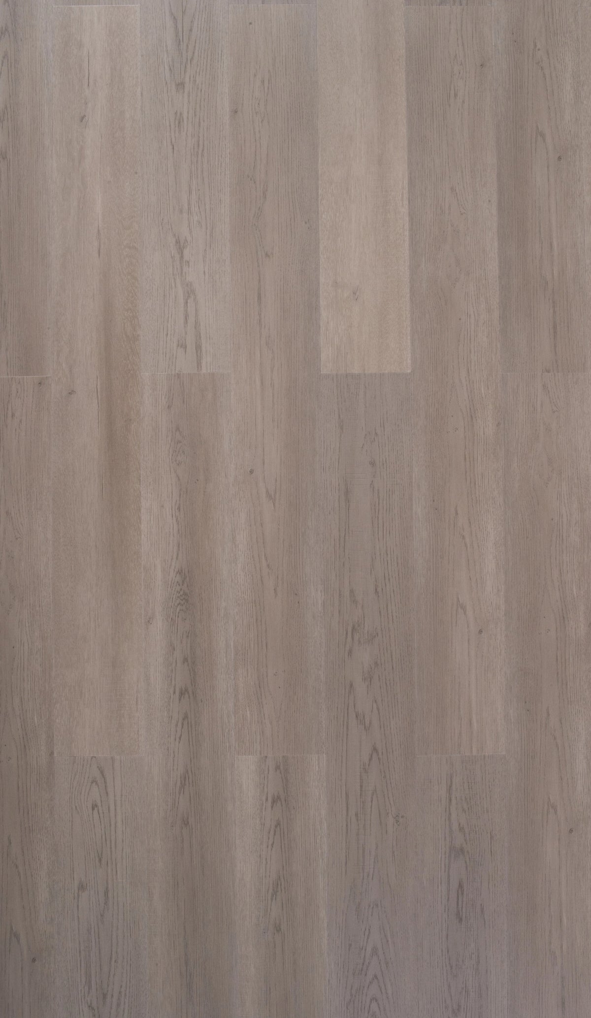 Riverhill Elegant Hybrid Flooring 6.5mm Koala Grey Swatch