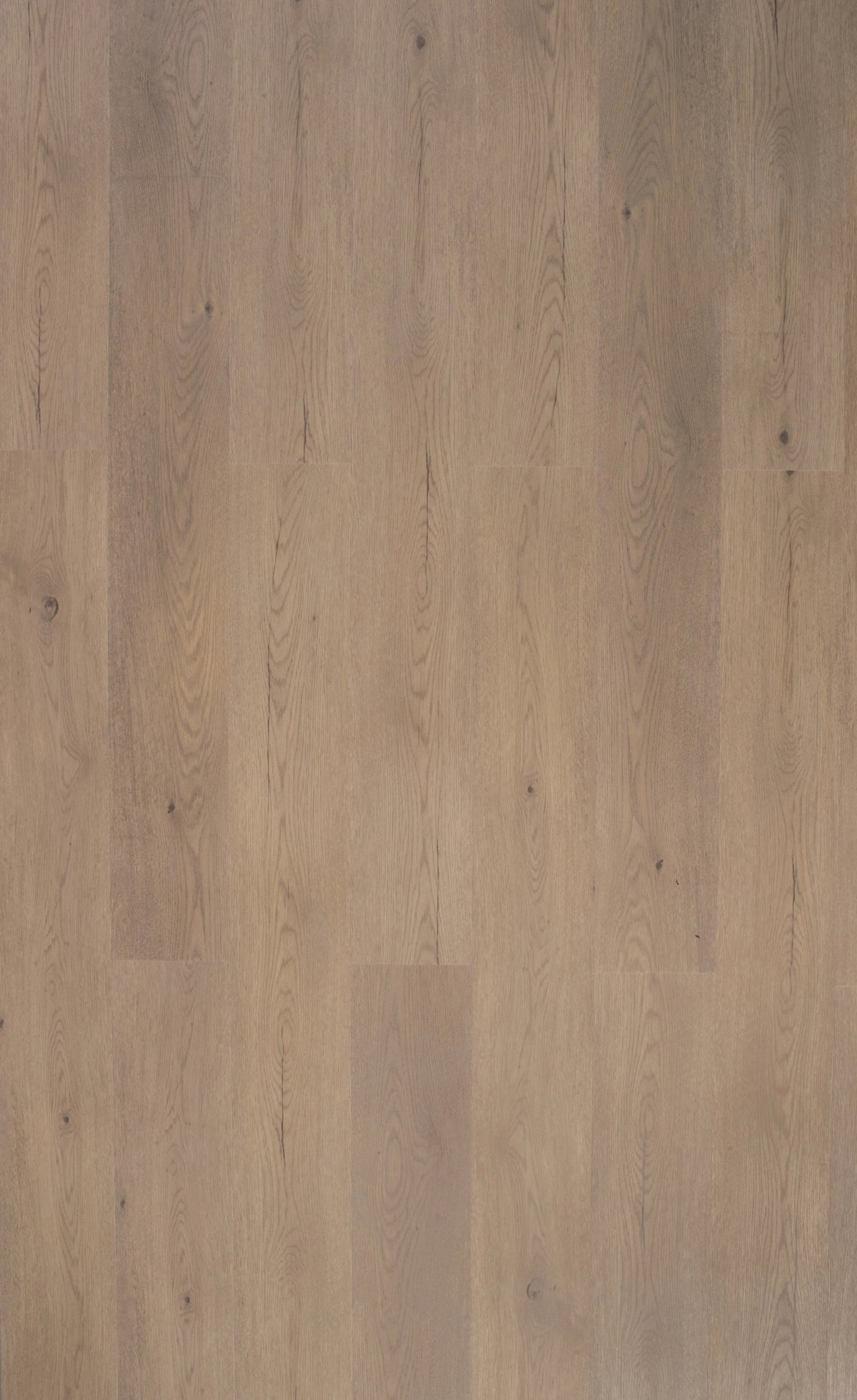 Riverhill Elegant Hybrid Flooring 6.5mm Pale Sand Swatch