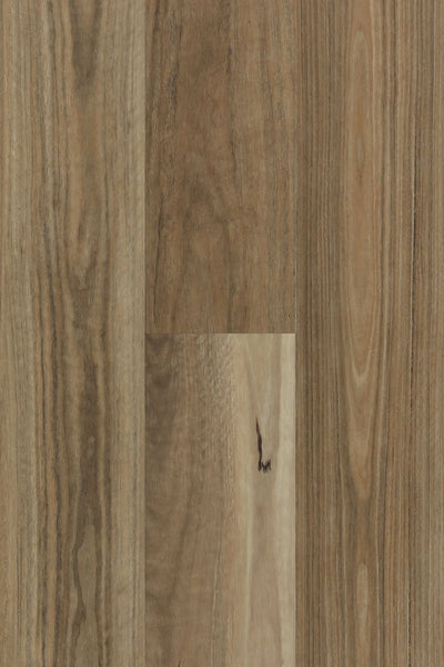 Topdeck Lumière Ultra HD Hybrid Flooring 7mm Spotted Gum Swatch