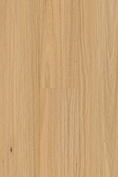 Topdeck Pantora Amor AC5 Laminate Flooring 12mm Blackbutt Swatch
