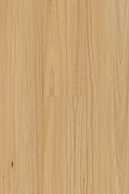 Topdeck Pantora Amor AC5 Laminate Flooring 12mm Blackbutt Swatch