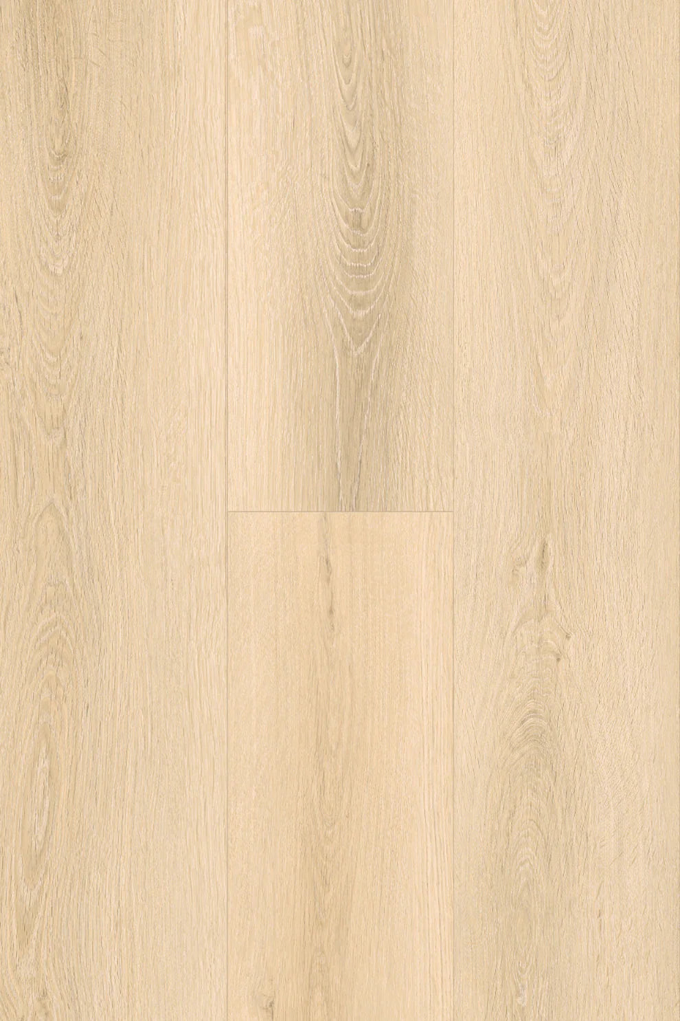 Topdeck Pantora Amor AC5 Laminate Flooring 12mm Catalina Oak Swatch