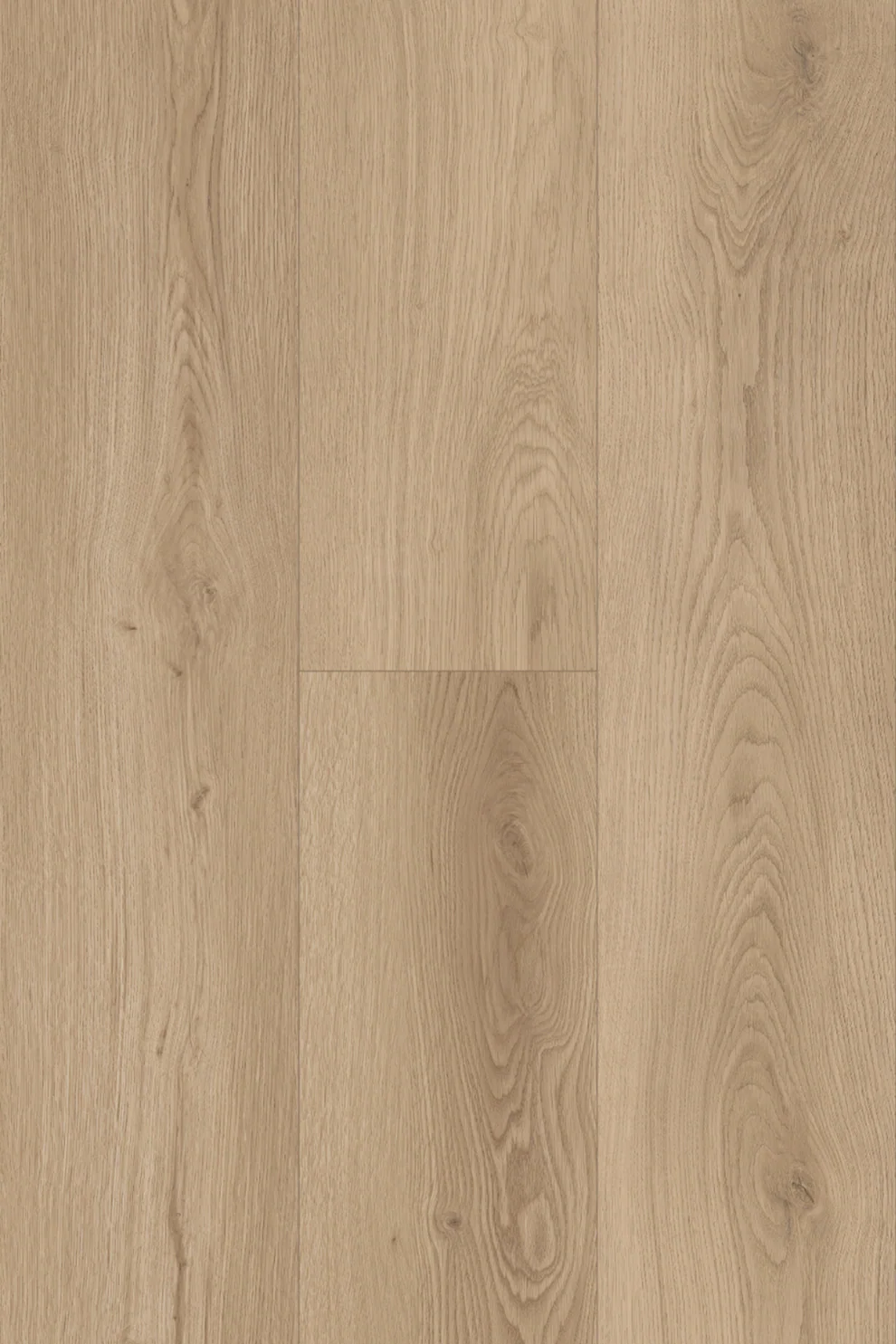 Topdeck Pantora Amor AC5 Laminate Flooring 12mm Coastal Breeze Swatch
