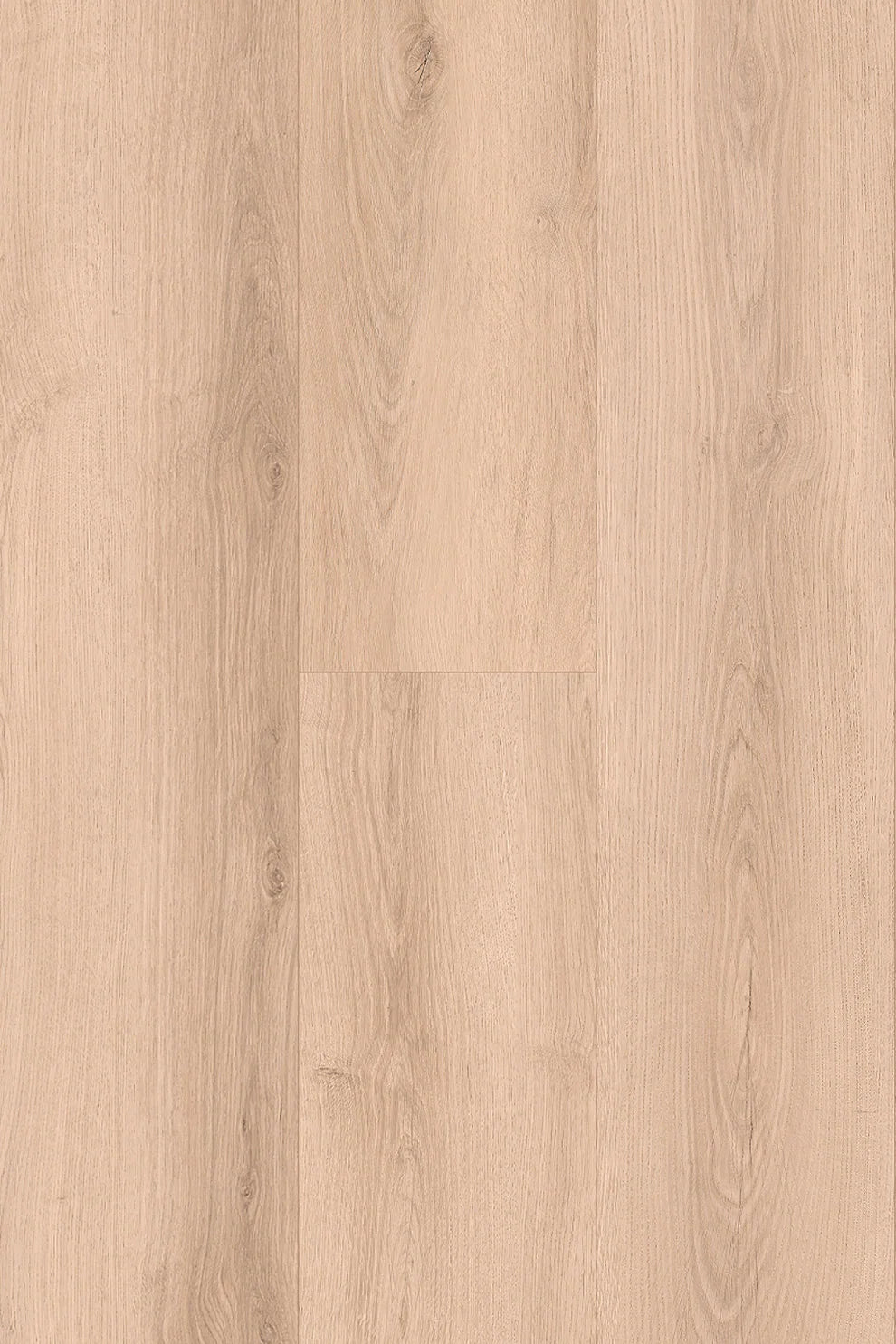 Topdeck Pantora Amor AC5 Laminate Flooring 12mm Harmony Oak Swatch