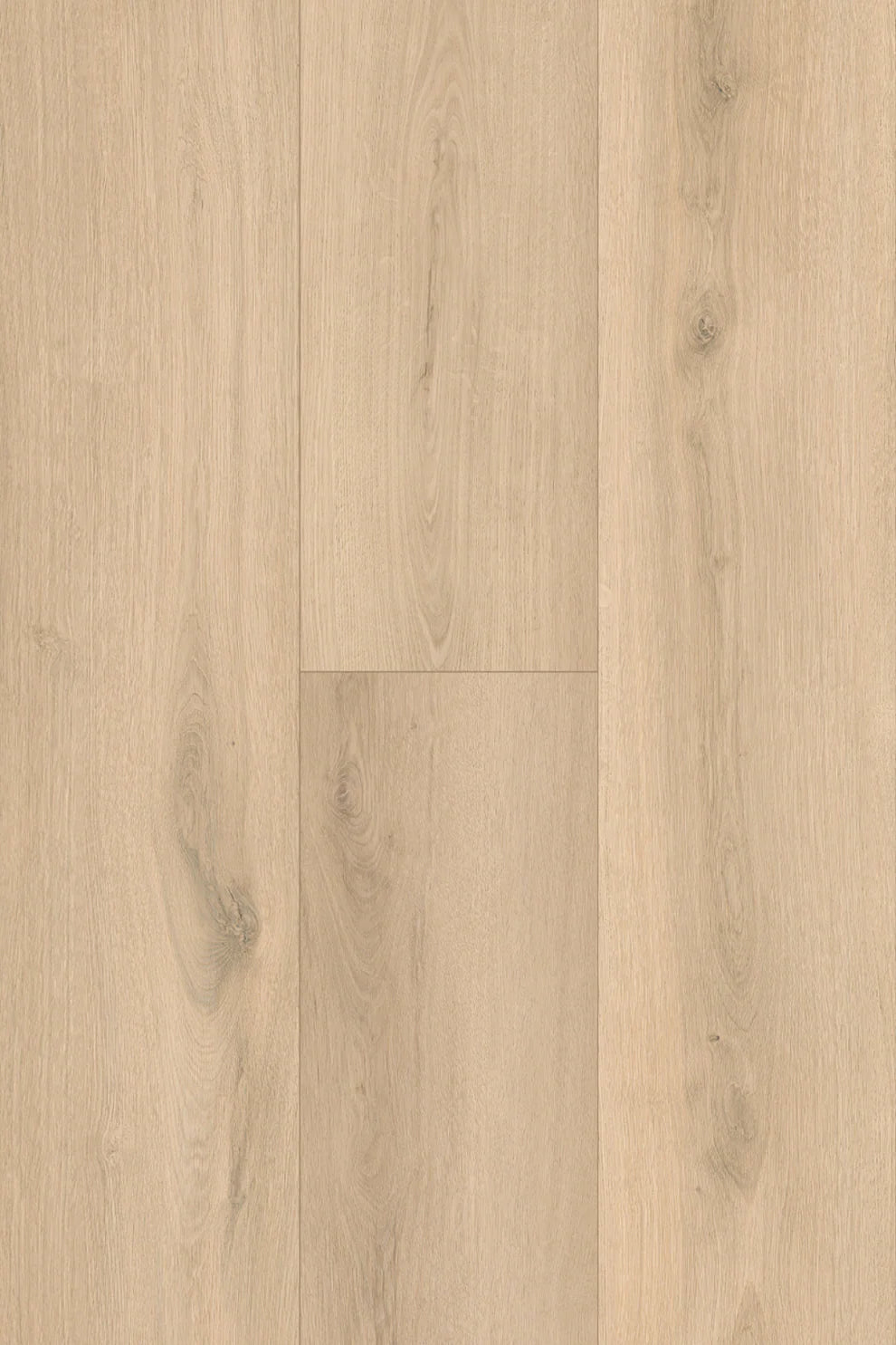 Topdeck Pantora Amor AC5 Laminate Flooring 12mm Ivory Sand Oak Swatch