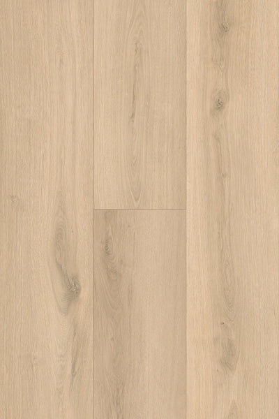 Topdeck Pantora Amor AC5 Laminate Flooring 12mm Ivory Sand Oak Swatch