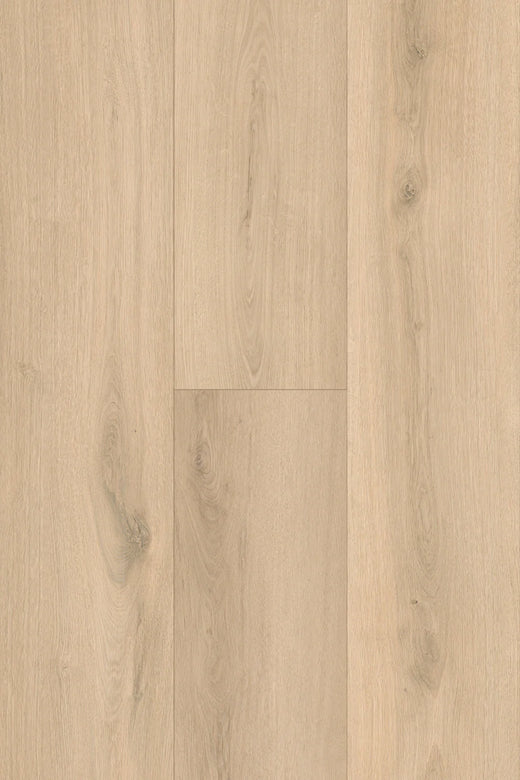 Topdeck Pantora Amor AC5 Laminate Flooring 12mm Ivory Sand Oak Swatch