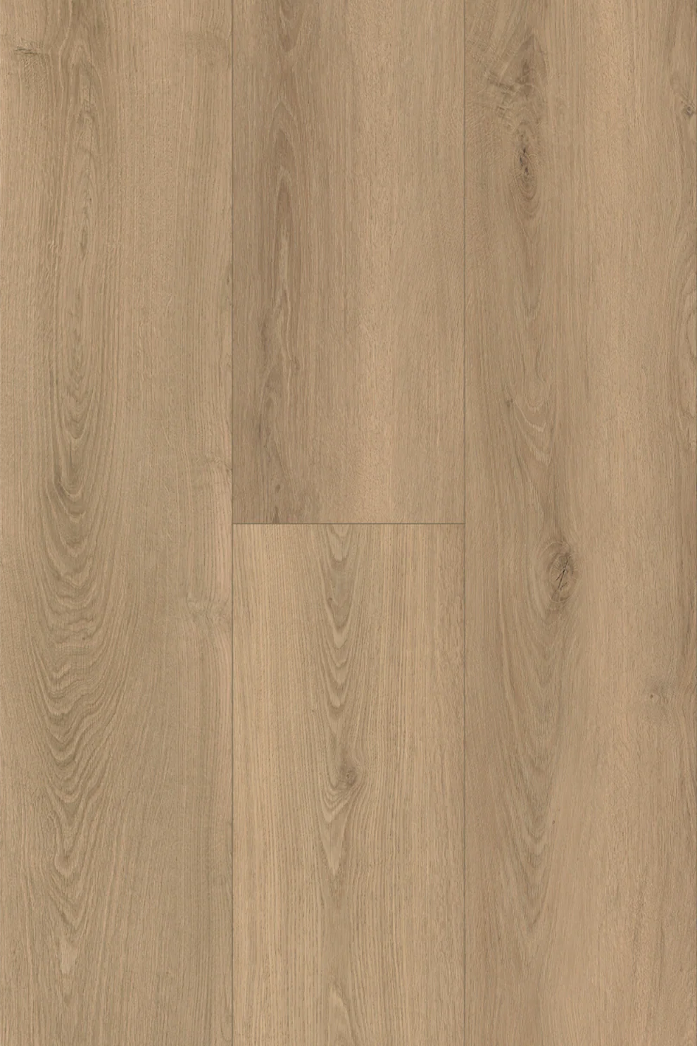 Topdeck Pantora Amor AC5 Laminate Flooring 12mm Moonstone Oak Swatch