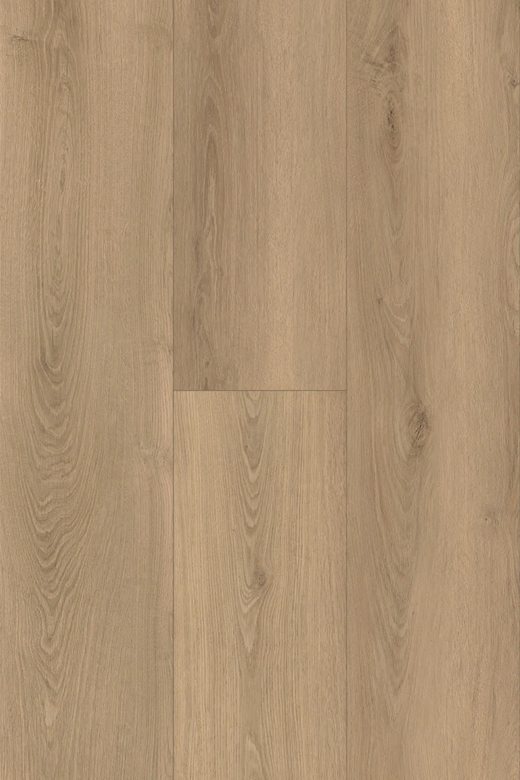 Topdeck Pantora Amor AC5 Laminate Flooring 12mm Moonstone Oak Swatch
