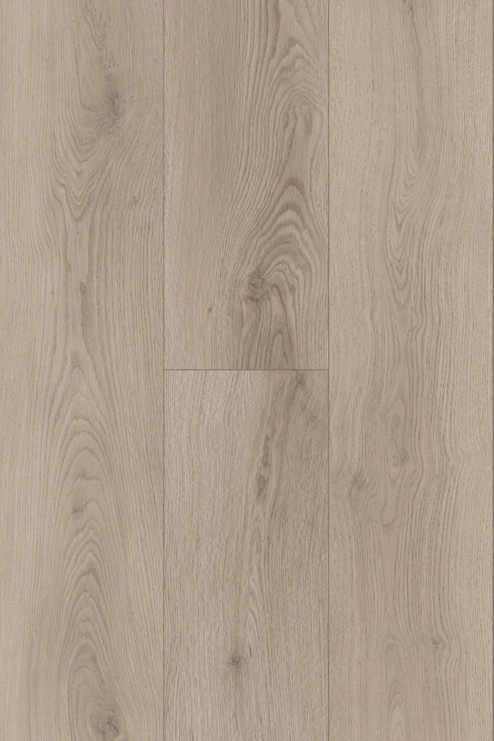 Topdeck Pantora Amor AC5 Laminate Flooring 12mm Silverstone Oak Swatch