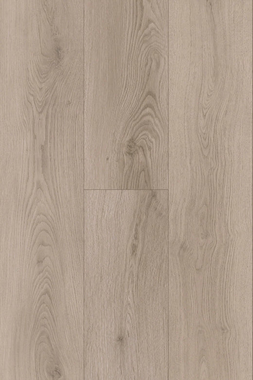 Topdeck Pantora Amor AC5 Laminate Flooring 12mm Silverstone Oak Swatch