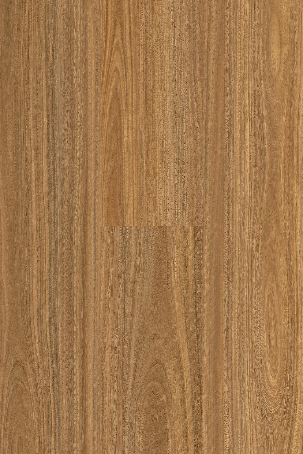 Topdeck Pantora Amor AC5 Laminate Flooring 12mm Spotted Gum Swatch