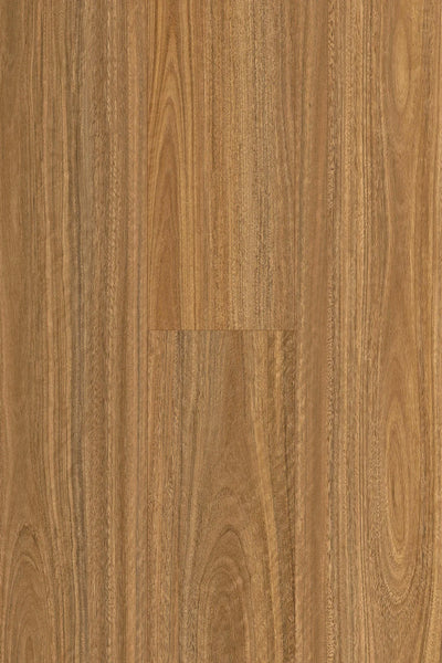 Topdeck Pantora Amor AC5 Laminate Flooring 12mm Spotted Gum Swatch