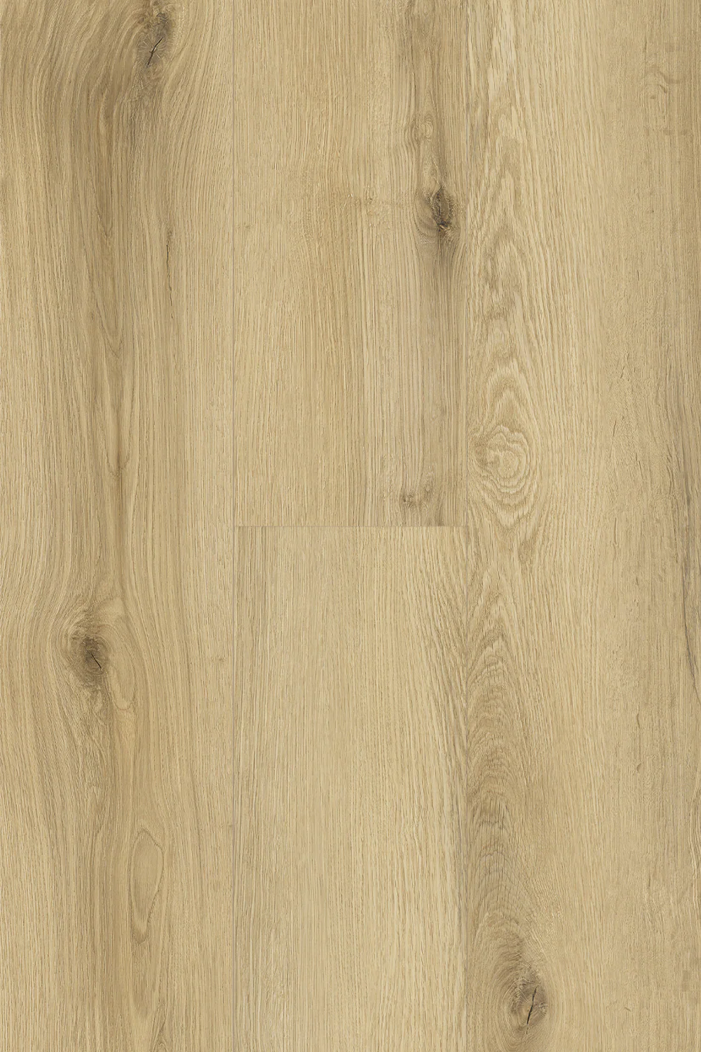 Topdeck Pantora Lifestyle AC5 Laminate Flooring 8mm Neutral Oak Swatch