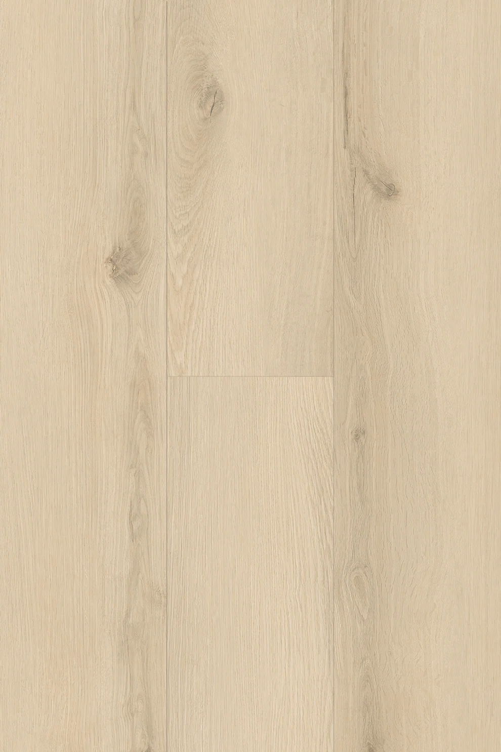 Topdeck Pantora Lifestyle AC5 Laminate Flooring 8mm White Cove Swatch