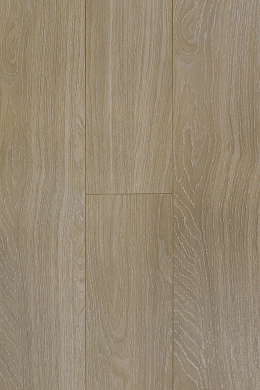 Topdeck Prime Contemporary Plus AC4 Laminate Flooring 12.3mm Lime Wash Swatch
