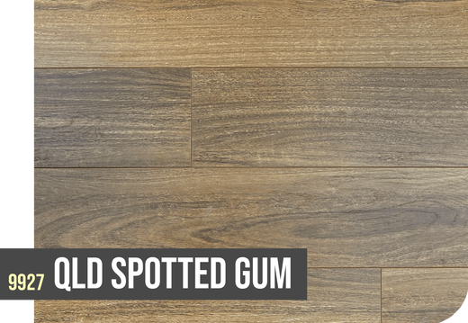 Topdeck Prime Contemporary Plus AC4 Laminate Flooring 12.3mm QLD Spotted Gum Swatch