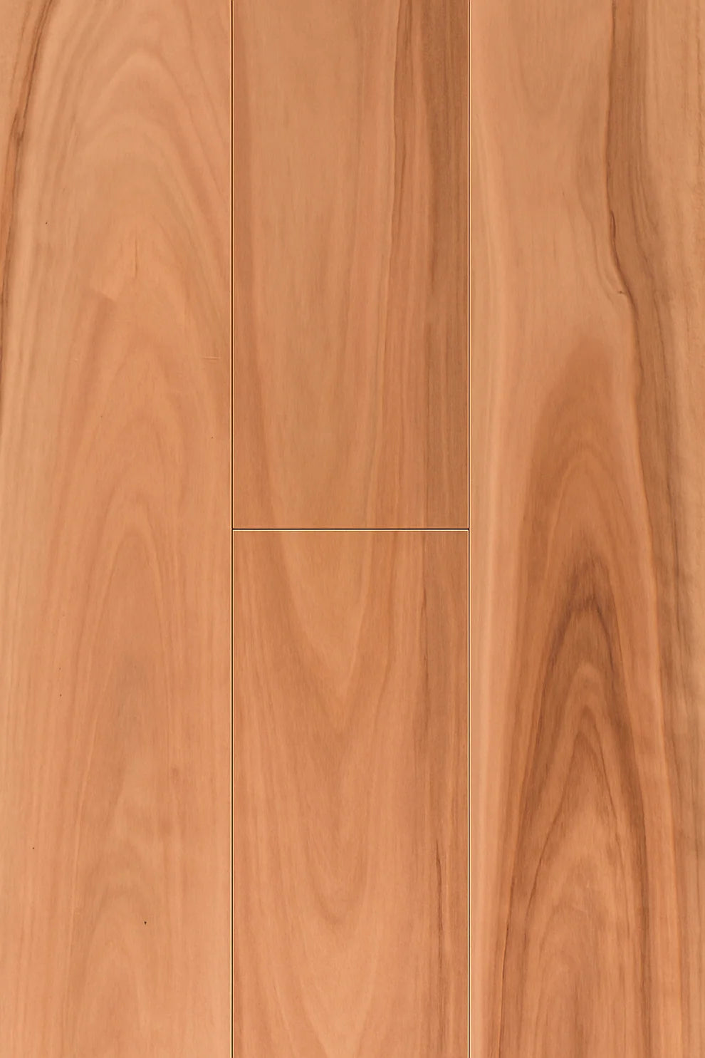 Topdeck Wooden-Land Classic Foreign Species Engineered Timber Flooring 14/3mm – Pacific Spotted Blackbutt Swatch