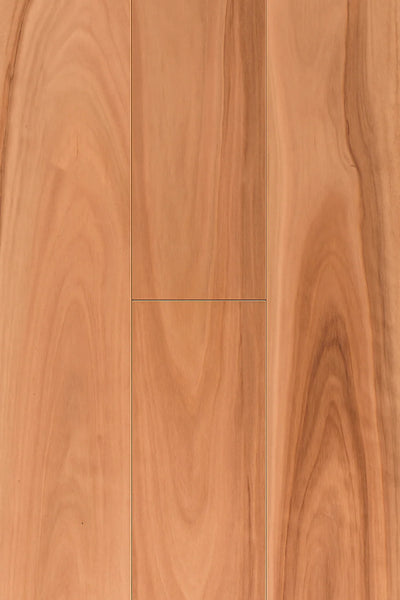 Topdeck Wooden-Land Classic Foreign Species Engineered Timber Flooring 14/3mm – Pacific Spotted Blackbutt Swatch