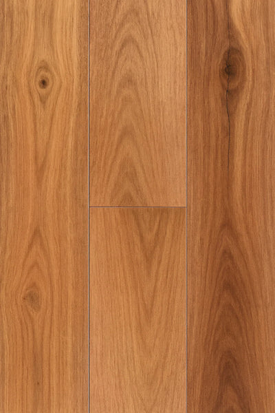Topdeck Wooden-Land Classic Foreign Species Engineered Timber Flooring 14/3mm – Pacific Spotted Gum Swatch